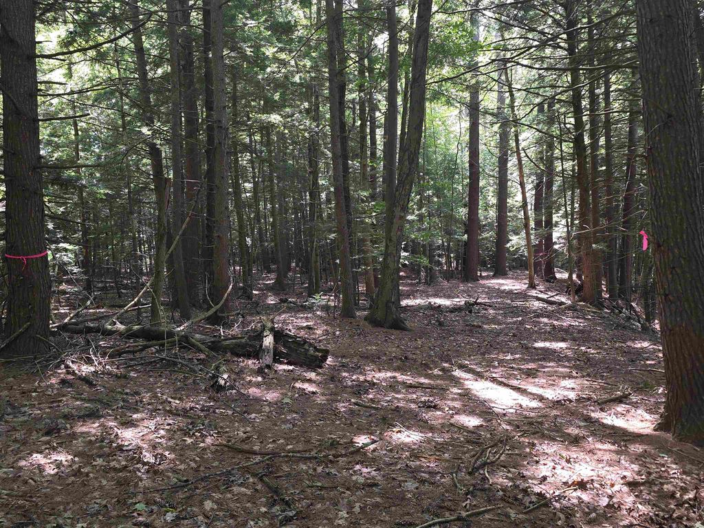 Photo of Claremont Road, Charlestown, NH 03603 (MLS # 5023258)