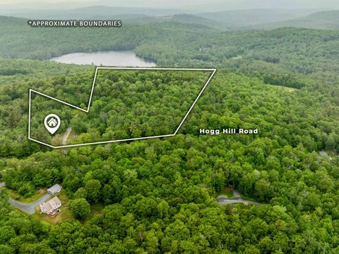 140 Hogg Hill Springfield NH 03284