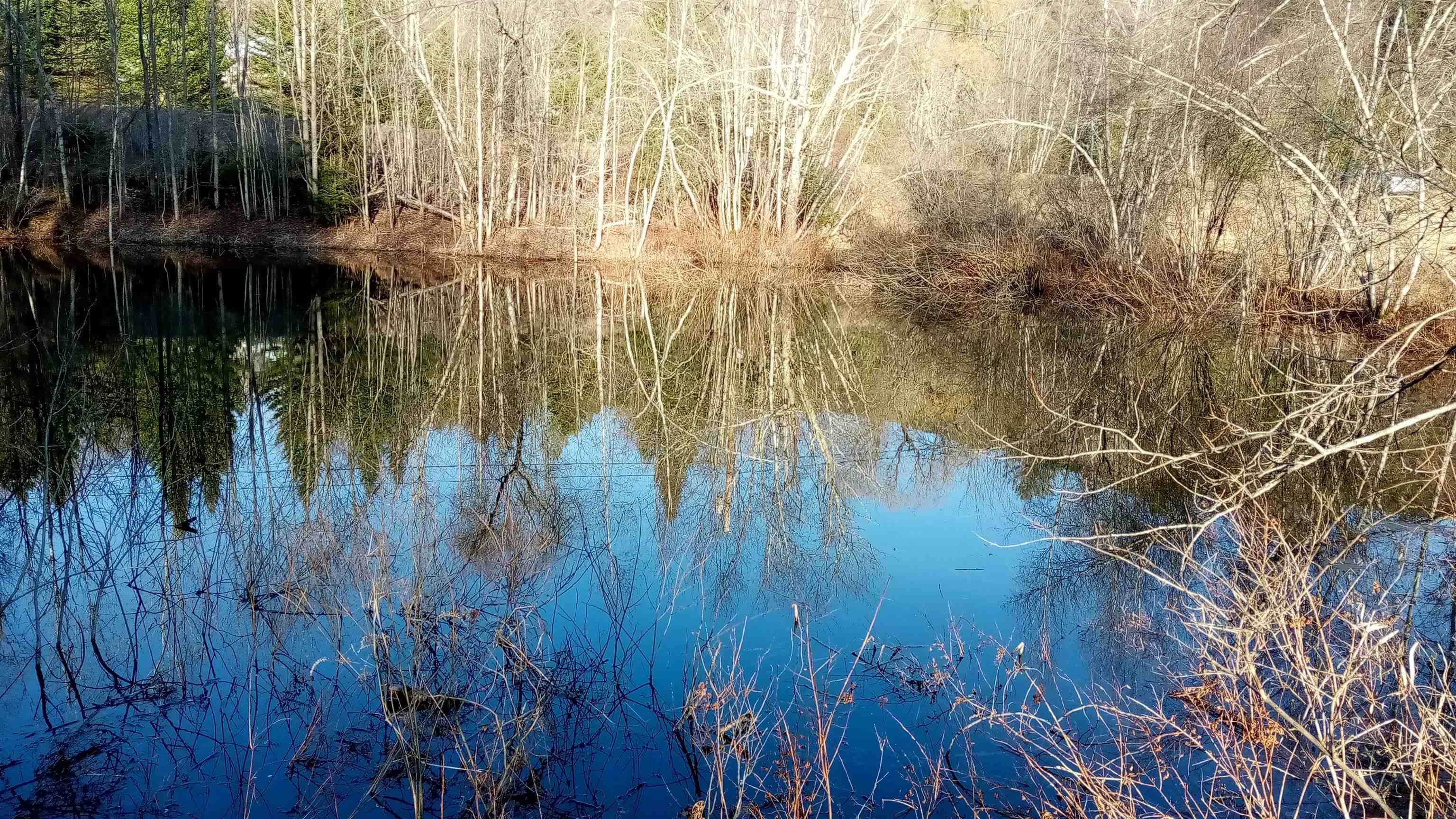 656 Lower Elmore Mt. Road
