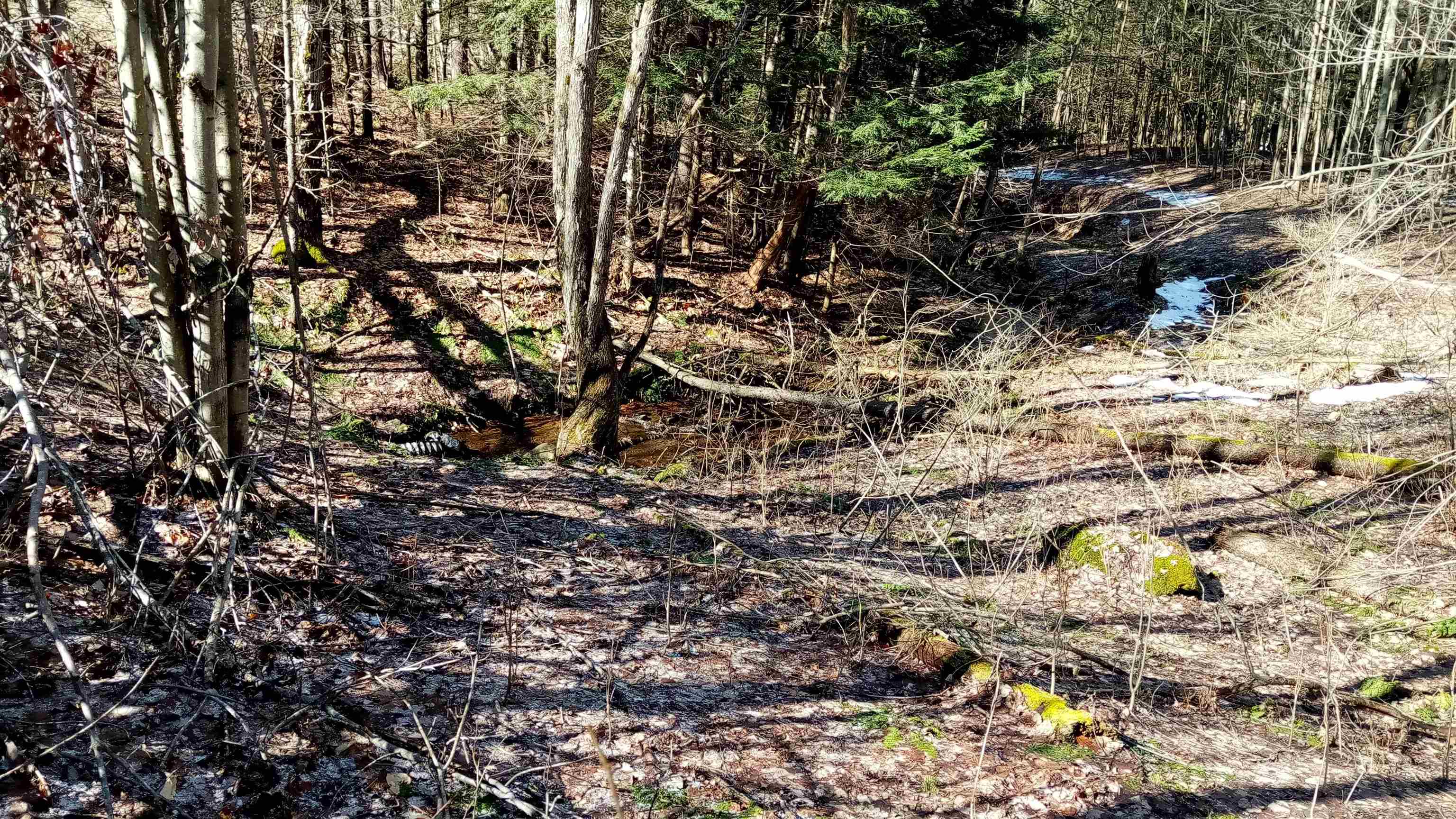 656 Lower Elmore Mt. Road
