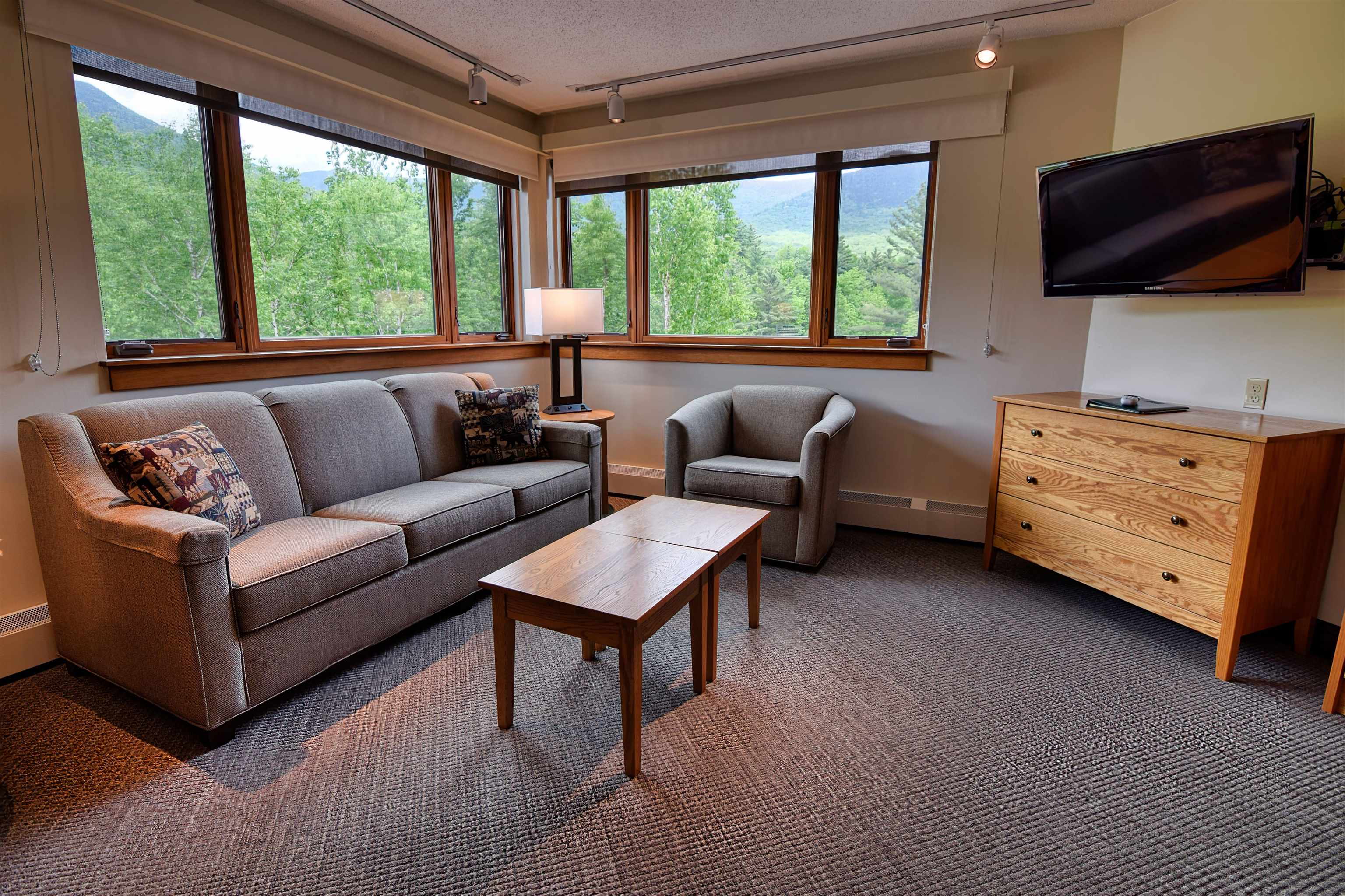 90 Loon Mountain Drive 865C