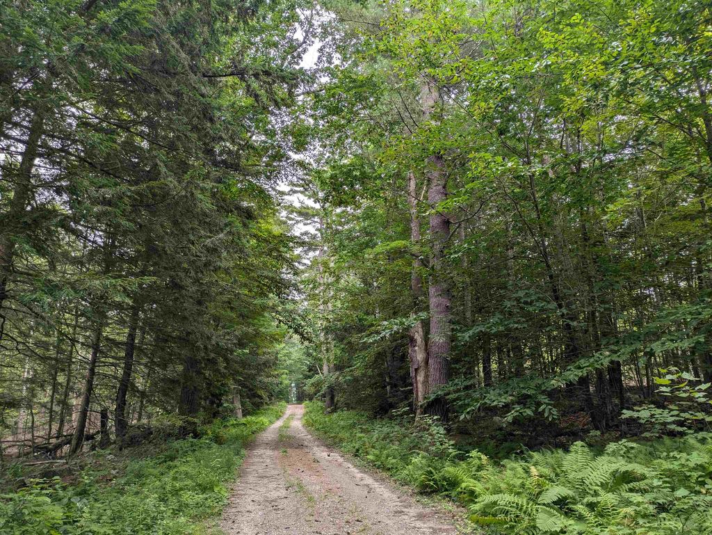 Photo of Lot Eaton Grange Road, Sutton, NH 03221 (MLS # 5010191)