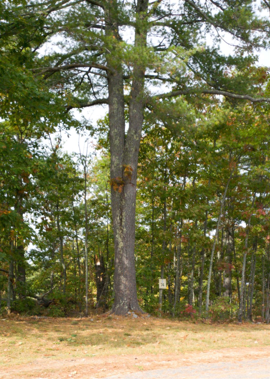 53 Deadreckoning Point 43