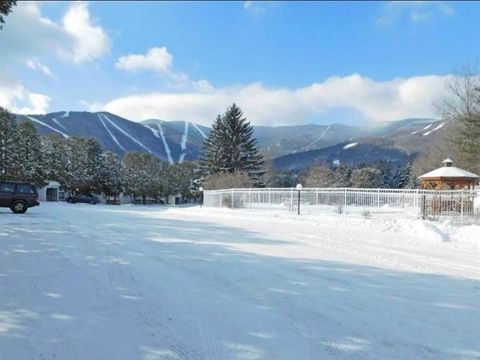 102 Upper Phase Circle 71 Warren VT 05674