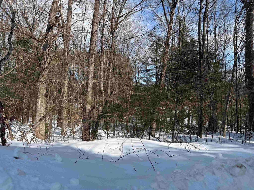 Photo of 14194 Seminole Road, Hillsborough, NH 03244 (MLS # 5078605)
