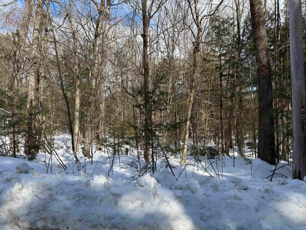 Photo of 14194 Seminole Road, Hillsborough, NH 03244 (MLS # 5078605)
