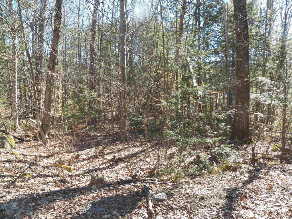 Photo of 14194 Seminole Road, Hillsborough, NH 03244 (MLS # 5078605)