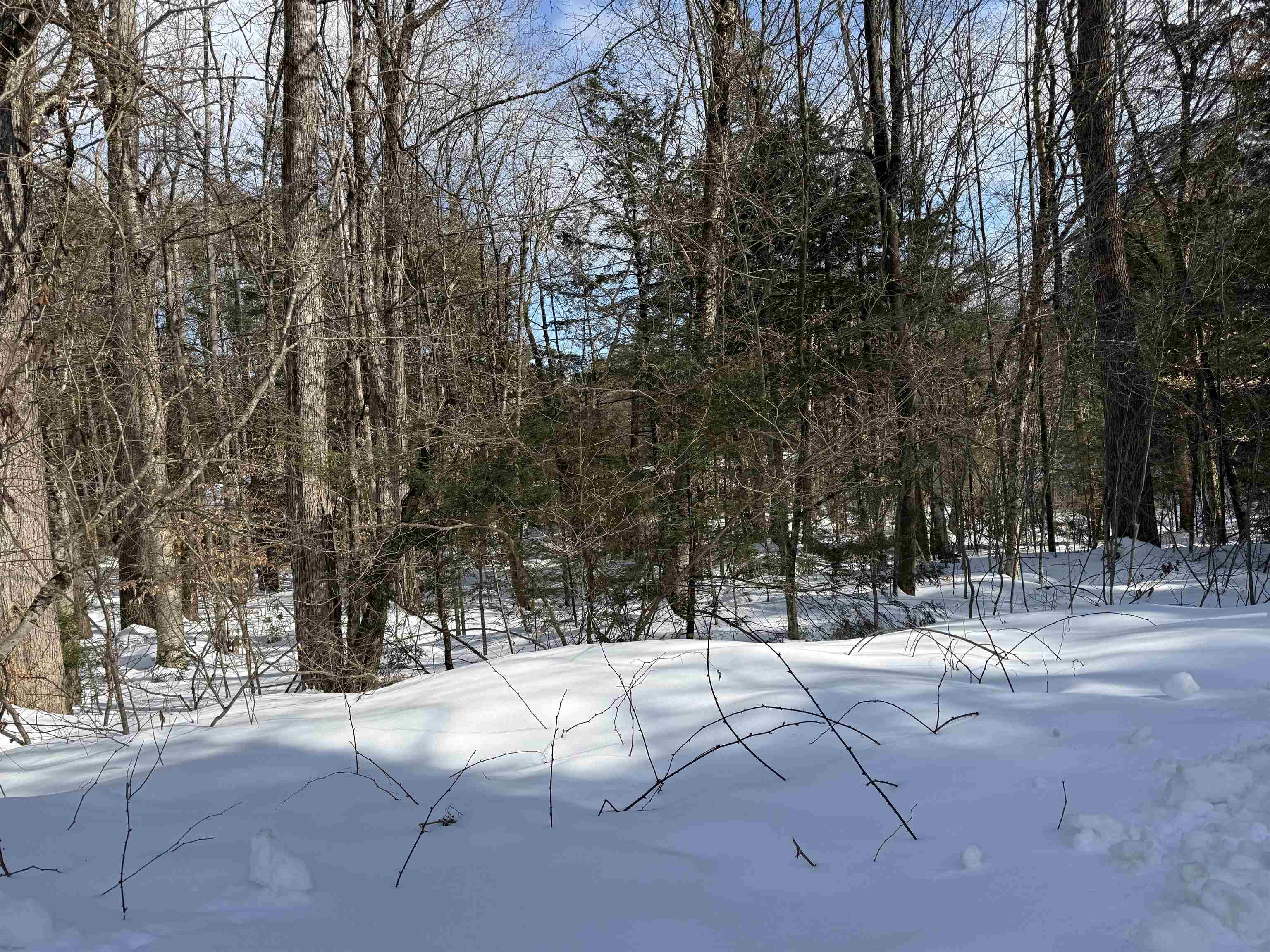 14-194 Seminole Road