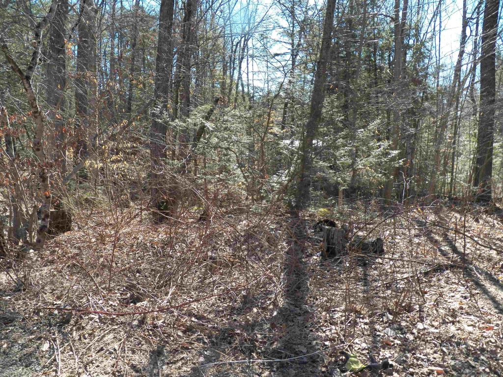 Photo of 14194 Seminole Road, Hillsborough, NH 03244 (MLS # 5078605)