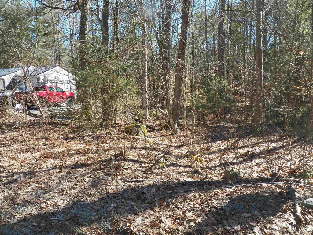 Photo of 14194 Seminole Road, Hillsborough, NH 03244 (MLS # 5078605)