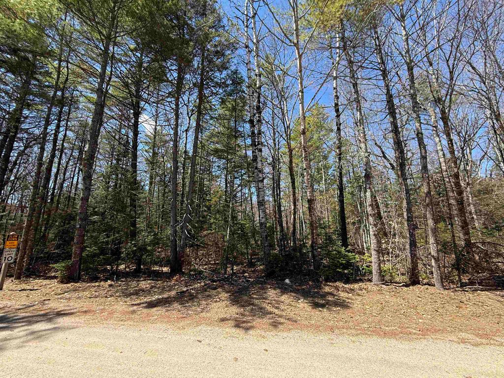 Photo of 14 Partridgeberry Circle #14, Tuftonboro, NH 03816 (MLS # 5087844)