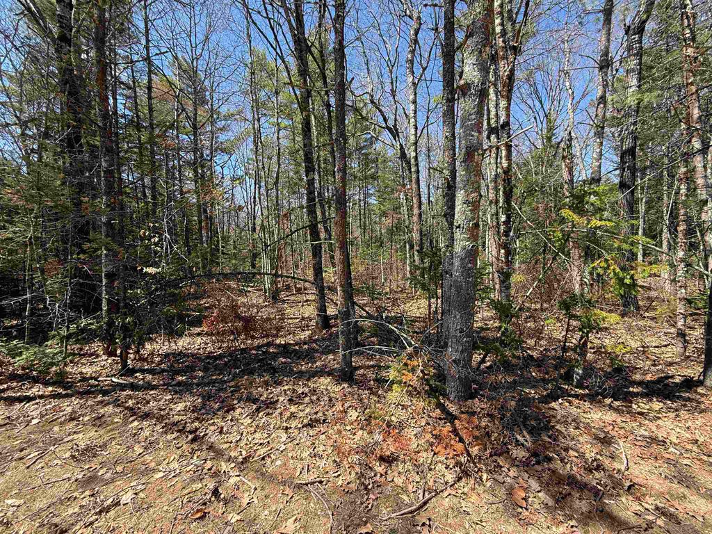 Photo of 14 Partridgeberry Circle #14, Tuftonboro, NH 03816 (MLS # 5087844)