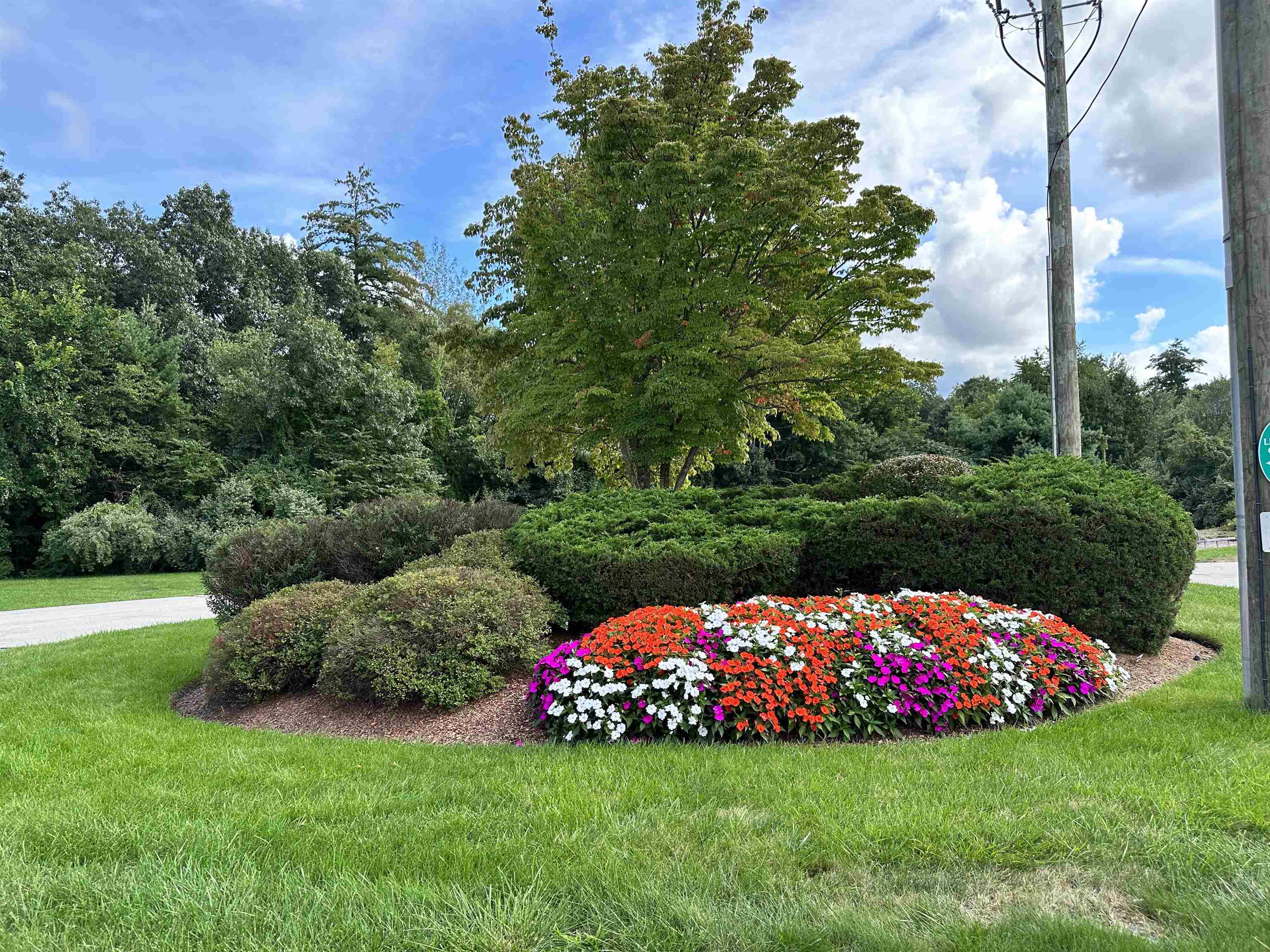 99 Powers Street 159