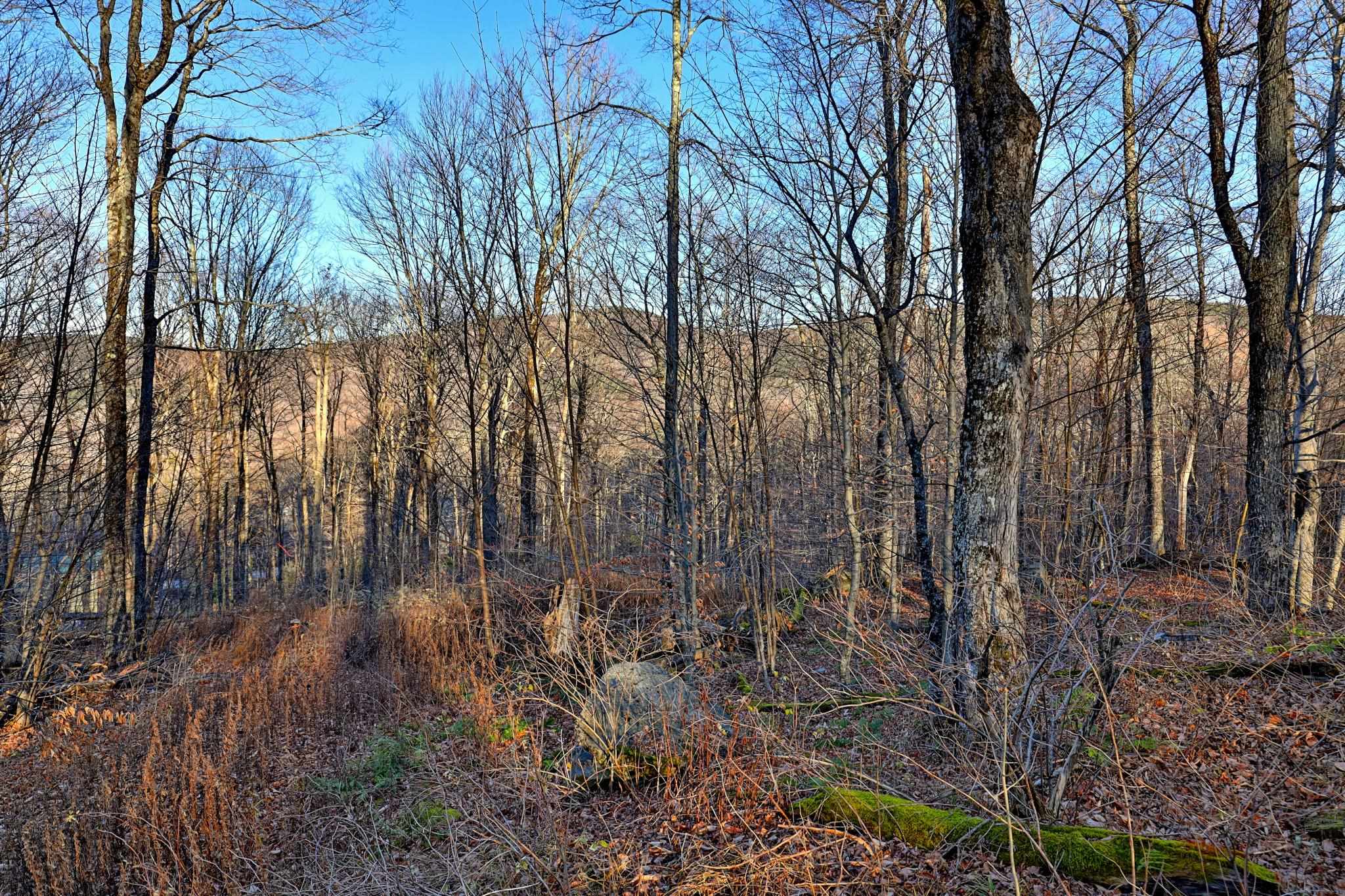 430 Lower Rebecca Lane Lot 3