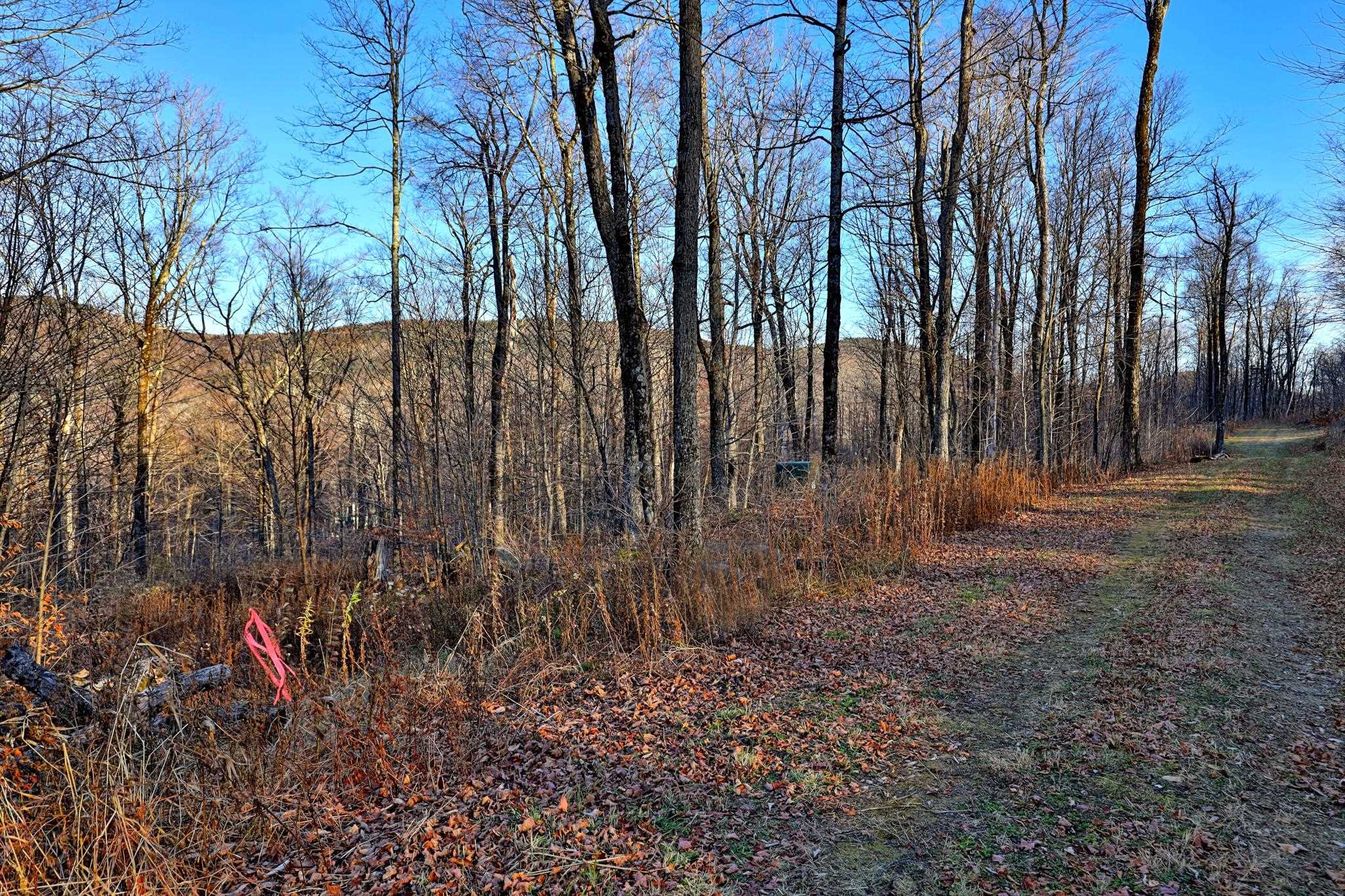 430 Lower Rebecca Lane Lot 3