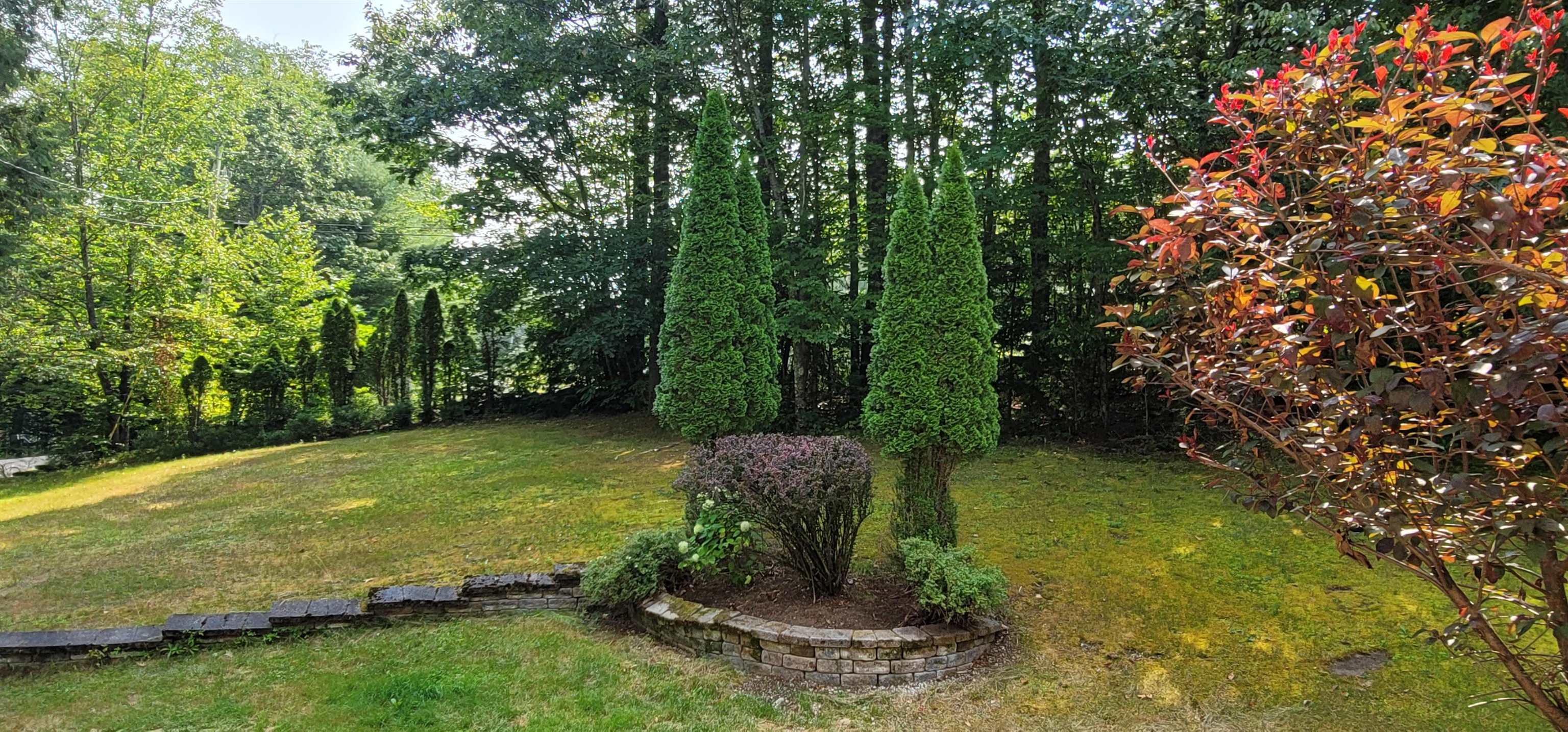 250 Grapevine Road