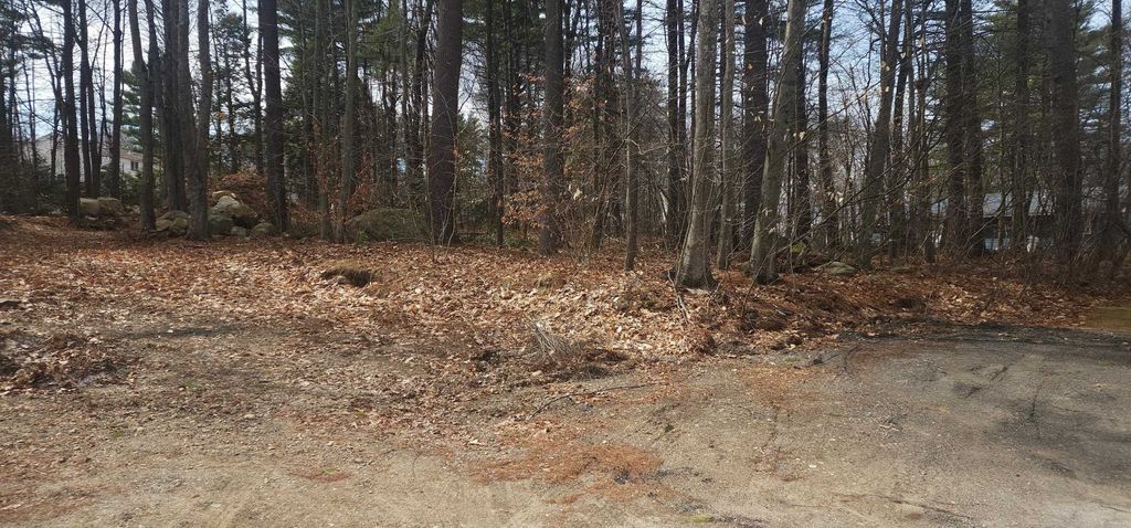 Photo of Libbey Street #67-19, Goffstown, NH 03102 (MLS # 5081398)