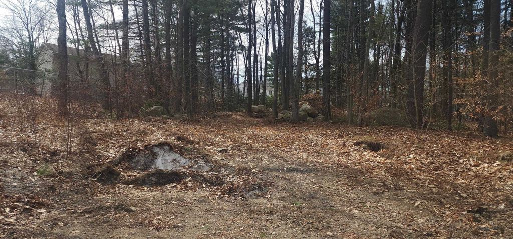 Photo of Libbey Street #67-19, Goffstown, NH 03102 (MLS # 5081398)