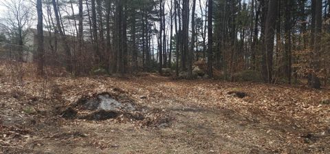 Libbey Street 67-19 Goffstown NH 03102