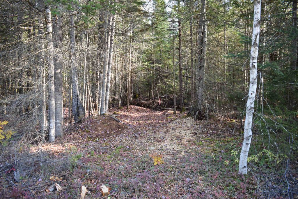 Photo of 12 Mirror Lake Estates, Whitefield, NH 03598 (MLS # 5066231)