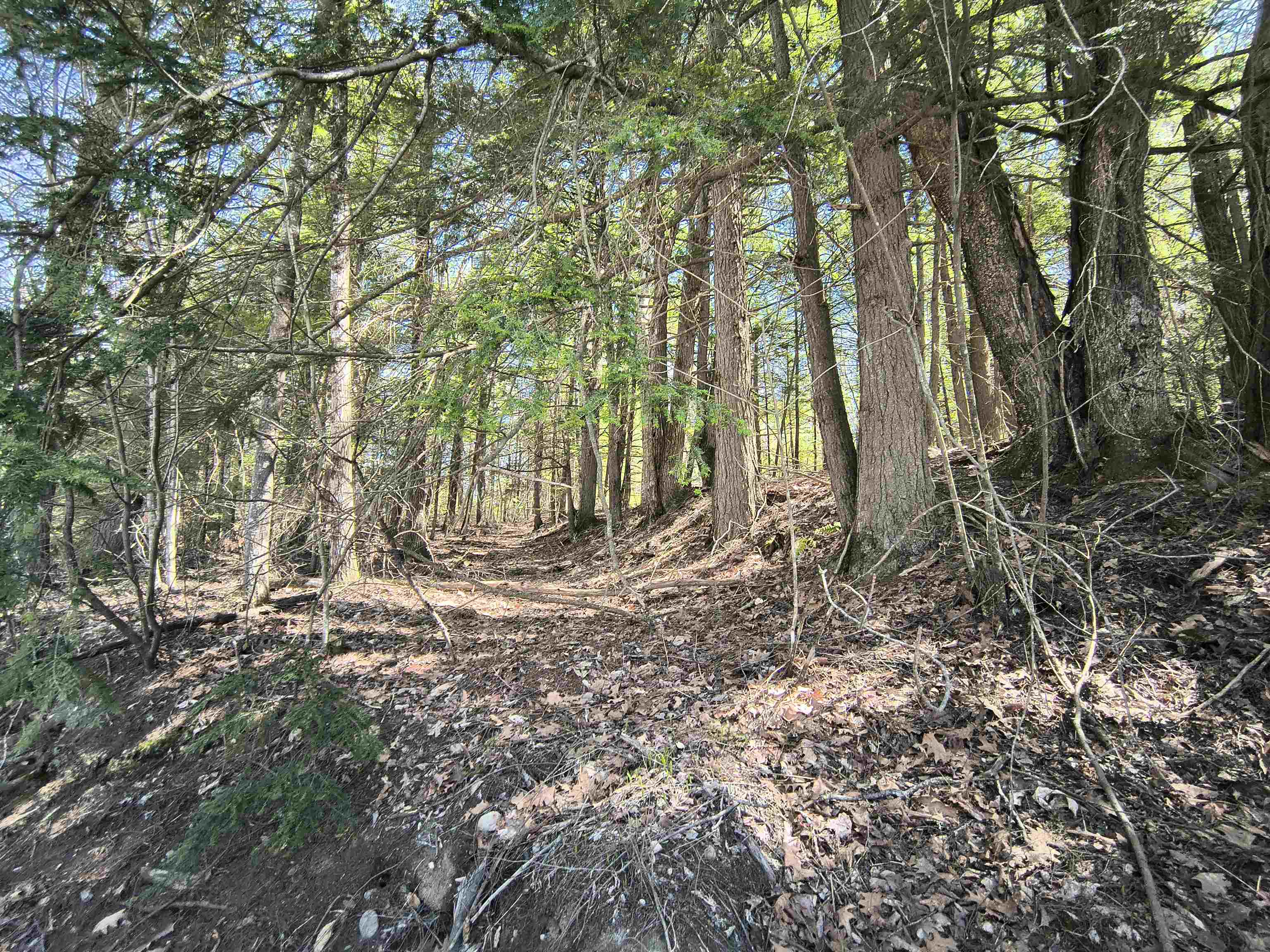 0 Littlefield Road