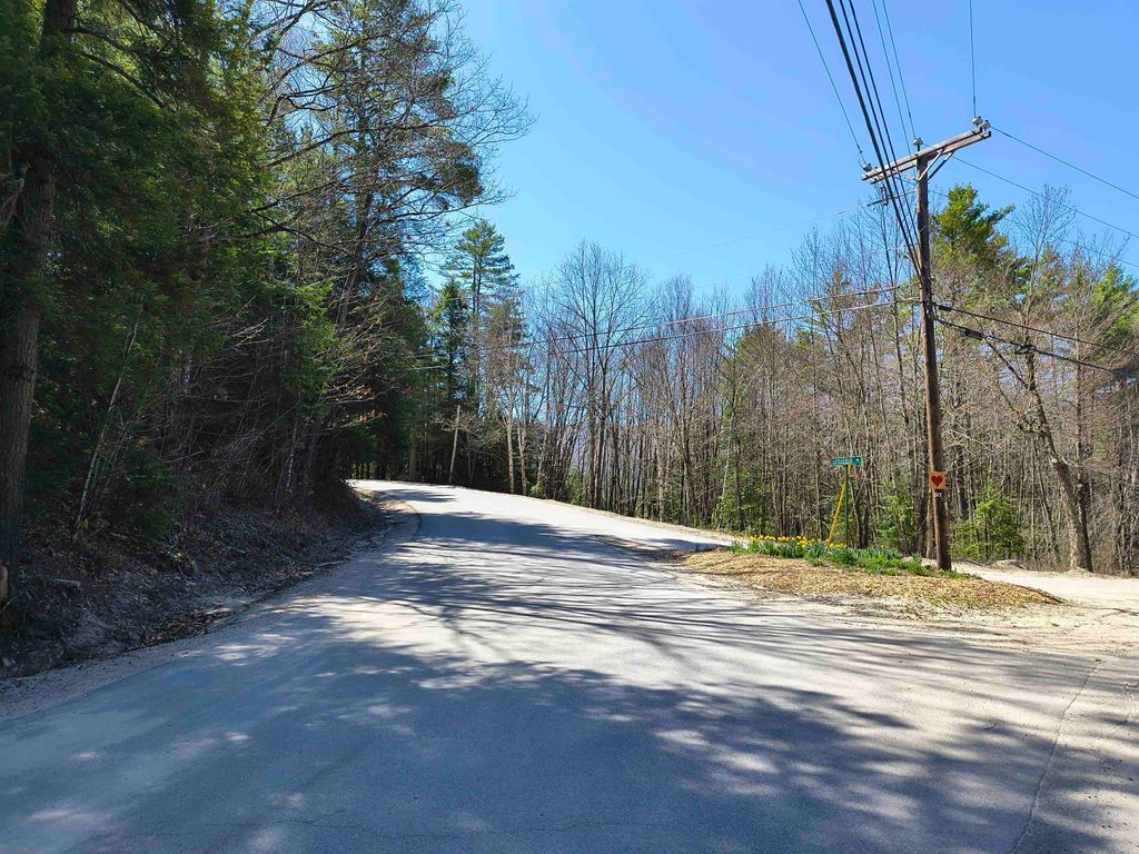 Photo of 0 Littlefield Road, Danbury, NH 03230 (MLS # 5086002)