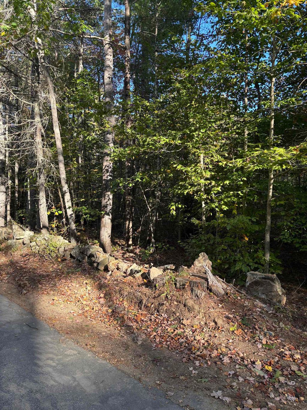Photo of 111 Parsons Hill Road #Map 9 Lot 11-1, Strafford, NH 03884 (MLS # 5063781)