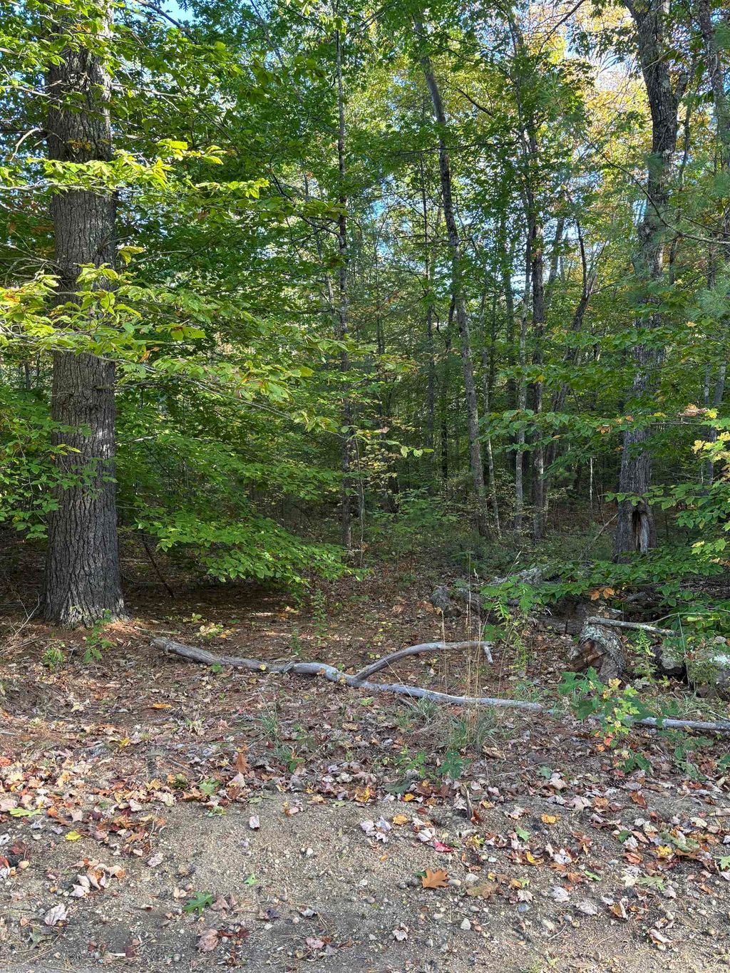 Photo of 111 Parsons Hill Road #Map 9 Lot 11-1, Strafford, NH 03884 (MLS # 5063781)