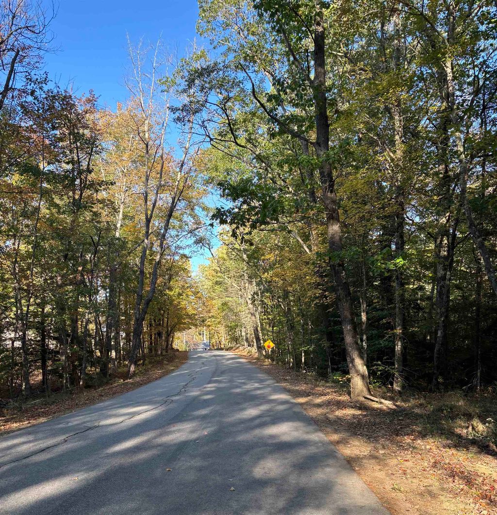 Photo of 111 Parsons Hill Road #Map 9 Lot 11-1, Strafford, NH 03884 (MLS # 5063781)