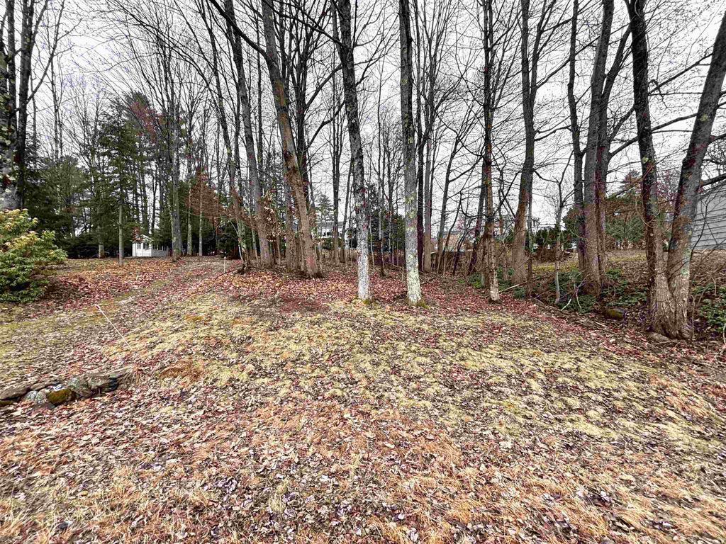 Photo of 00 Terrace Road, Franklin, NH 03235 (MLS # 5083972)