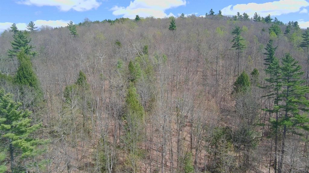 Photo of 0 Dero Road, Lempster, NH 03605 (MLS # 5087967)