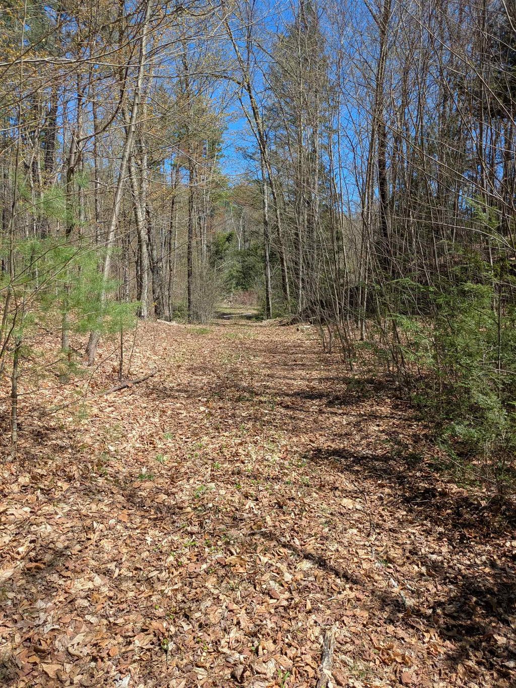 Photo of South Scofield Mountain Road, Winchester, NH 03470 (MLS # 5085562)