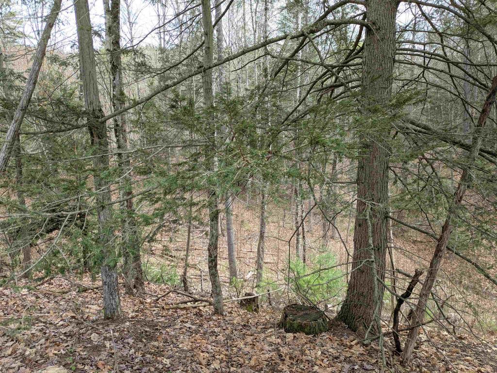 Photo of South Scofield Mountain Road, Winchester, NH 03470 (MLS # 5085562)