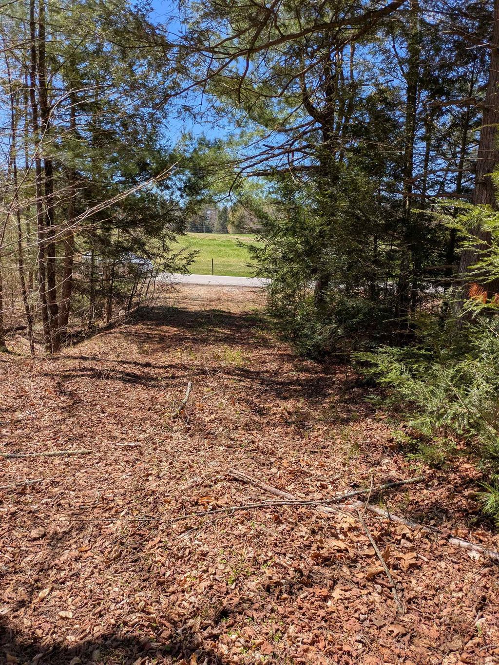 Photo of South Scofield Mountain Road, Winchester, NH 03470 (MLS # 5085562)