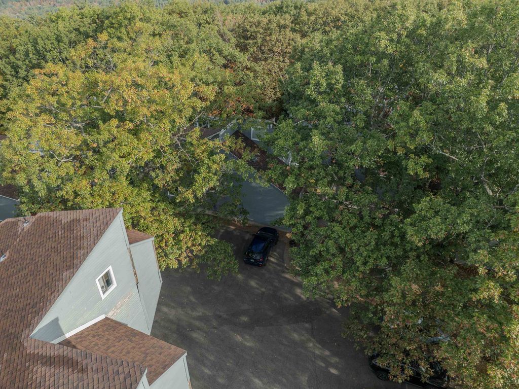 Photo of 281 Condo Road #1, Campton, NH 03223 (MLS # 5064972)