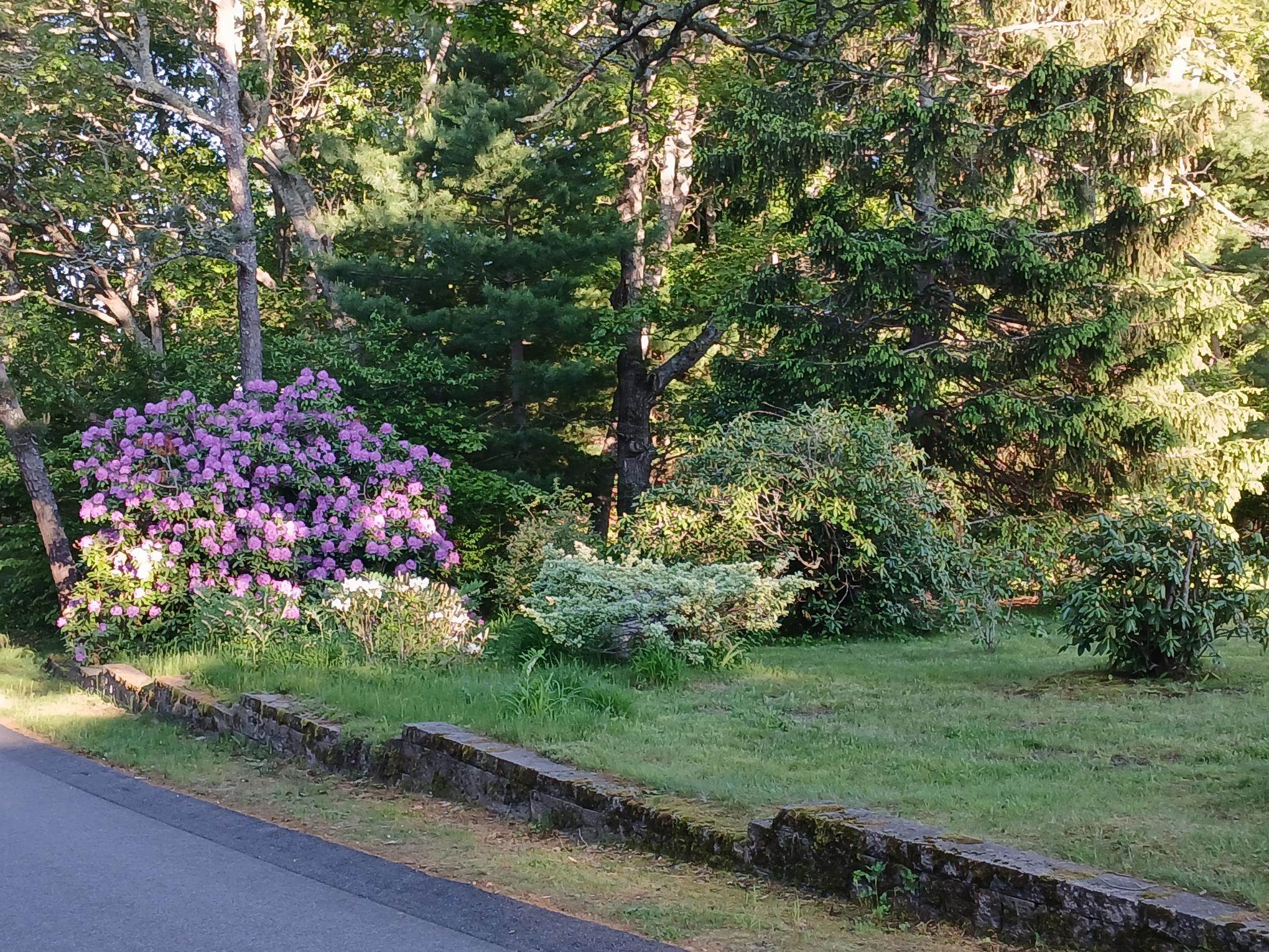 43 Poponessett Road