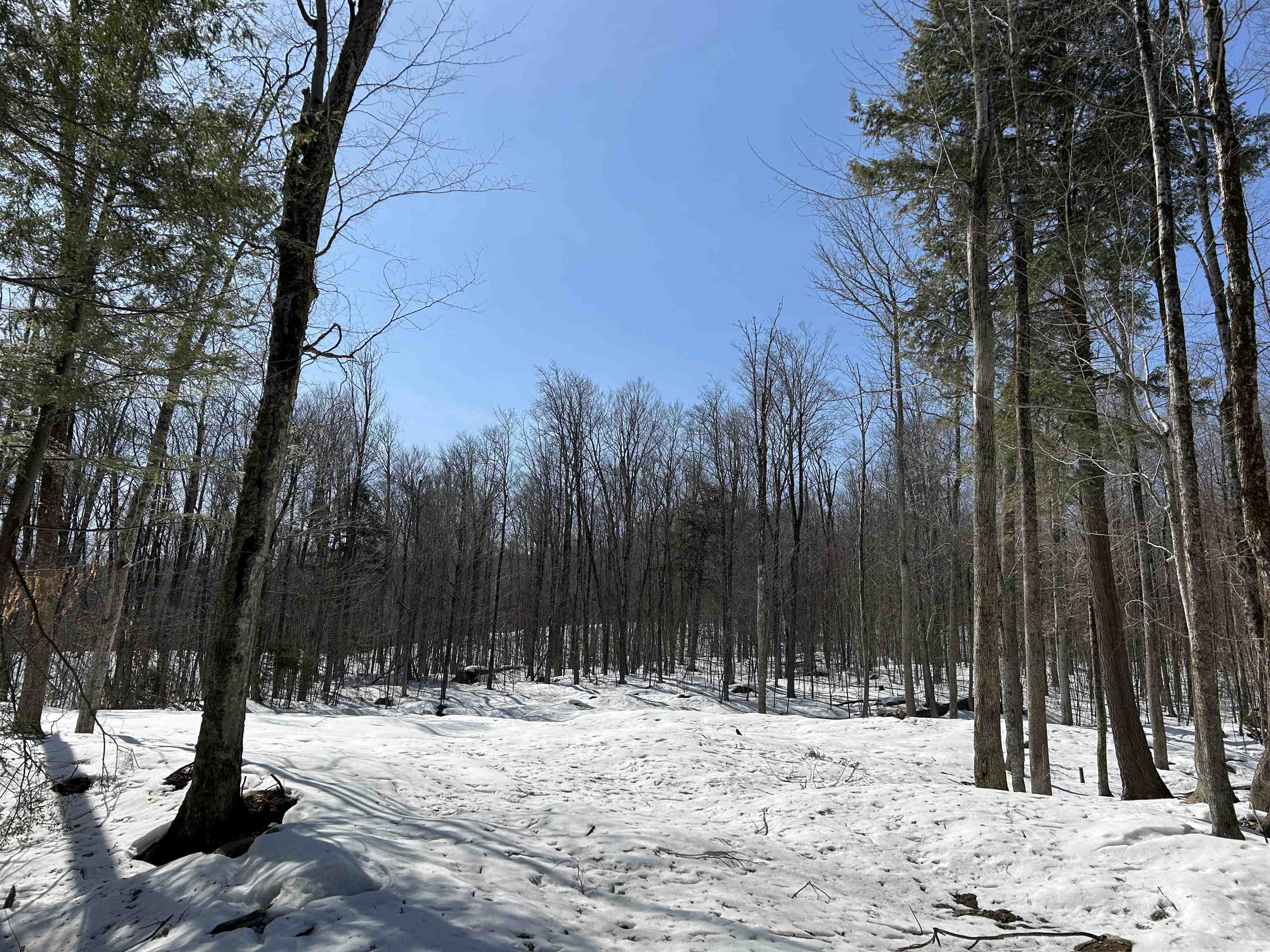 lot#2 Margeaux Lane