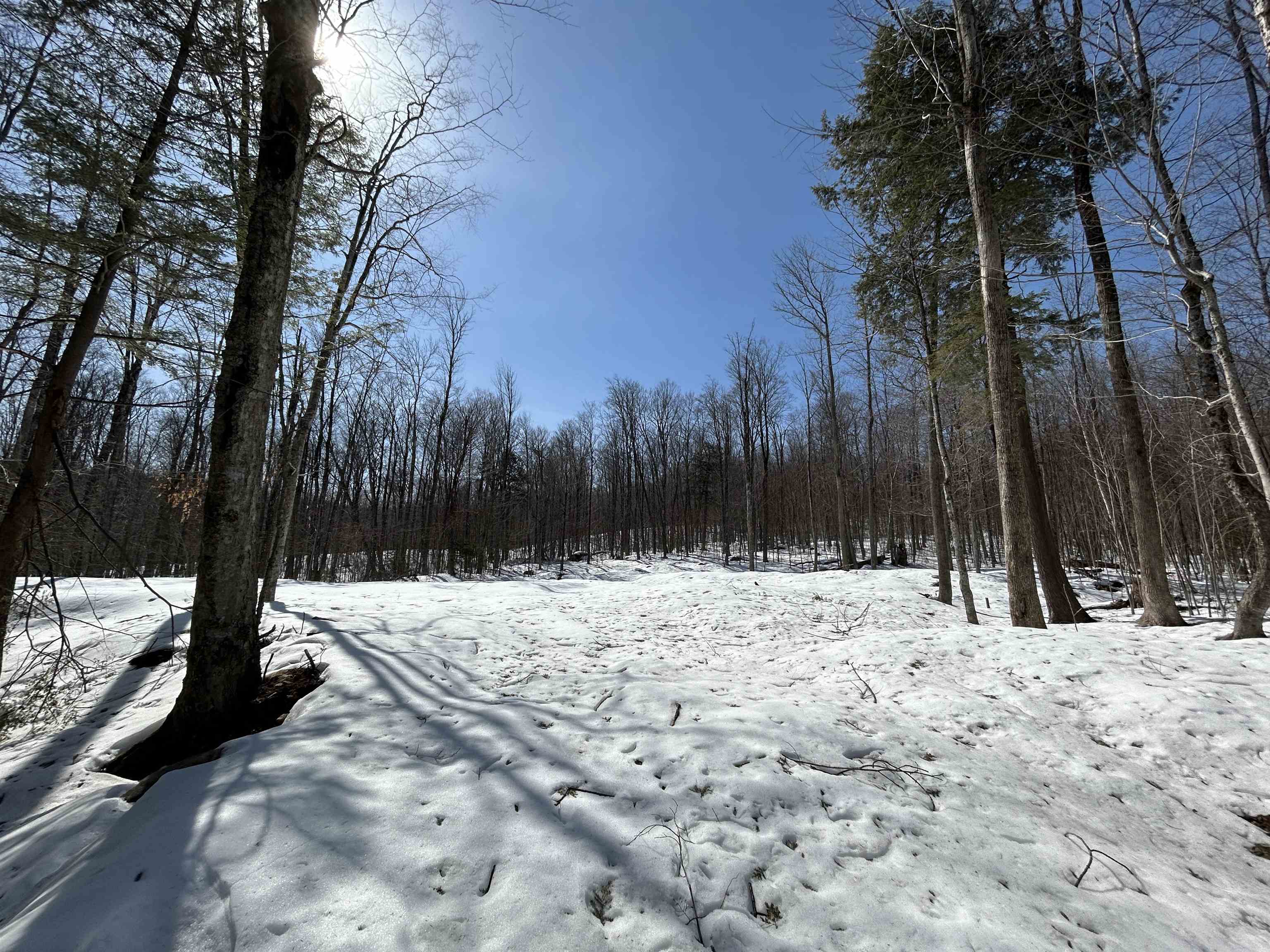 lot#2 Margeaux Lane