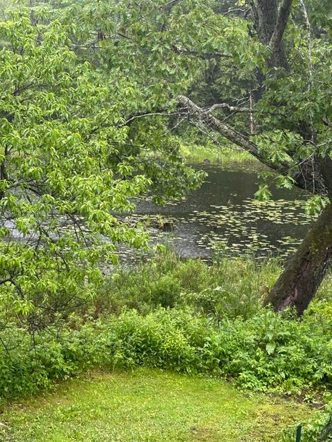 Photo of 17 Prospect Mountain Road, Alton, NH 03809 (MLS # 5061609)