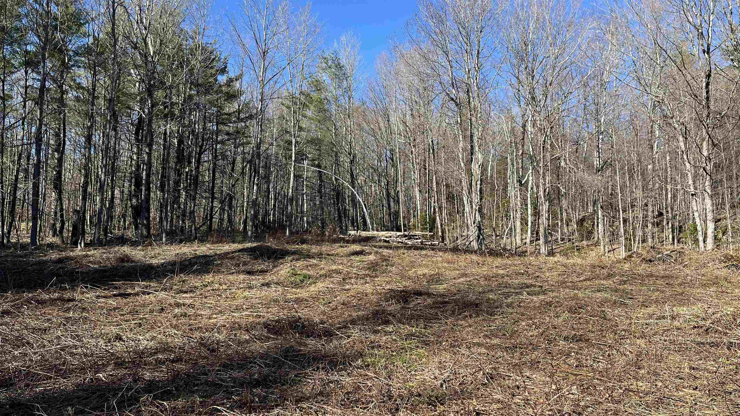 Photo 1 of 28 — Dix Hill Road 23, Plymouth, VT 05056