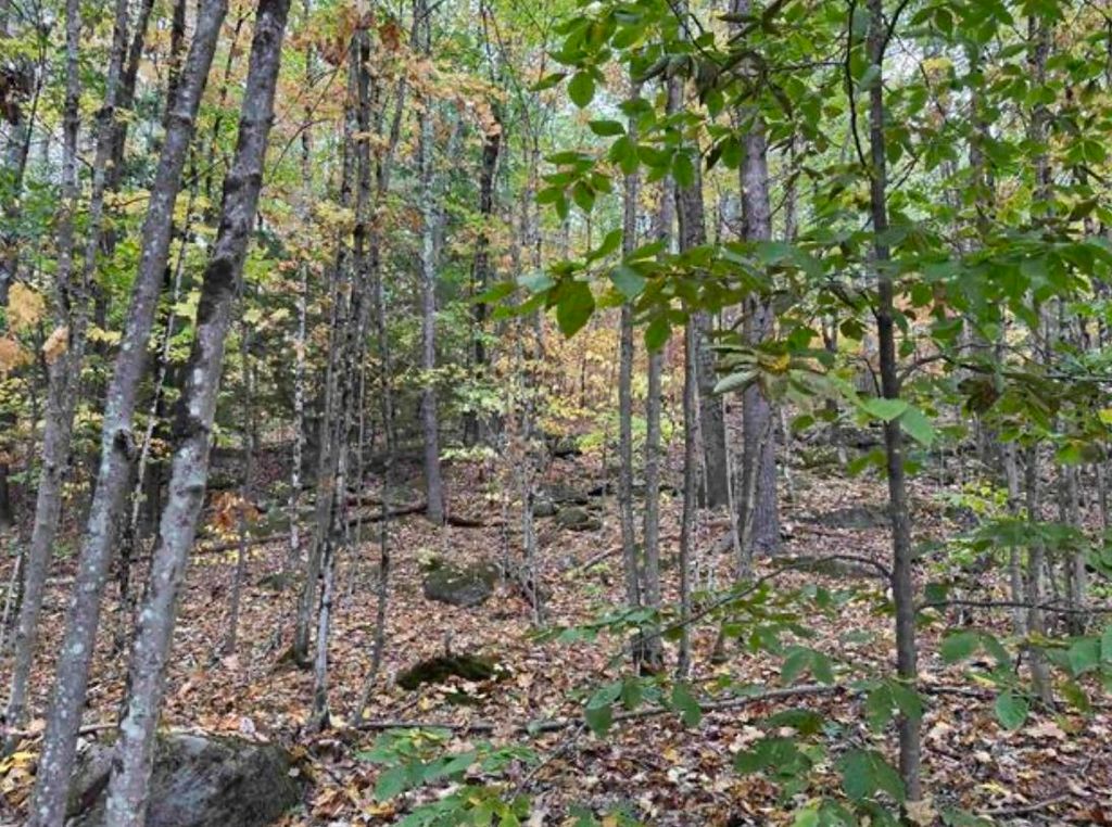 Photo of 10 Lots 154,155,156 New Hampshire Drive, Webster, NH 03303 (MLS # 5066302)