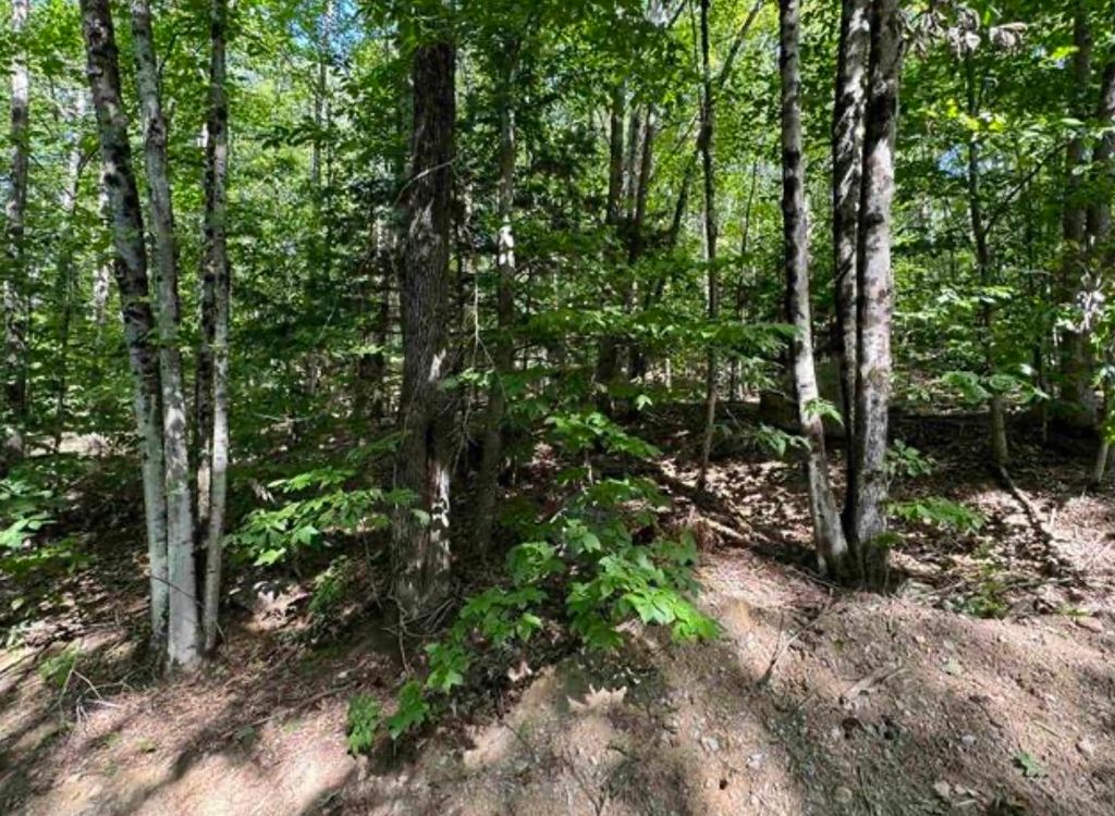 Photo of 10 Lots 154,155,156 New Hampshire Drive, Webster, NH 03303 (MLS # 5066302)