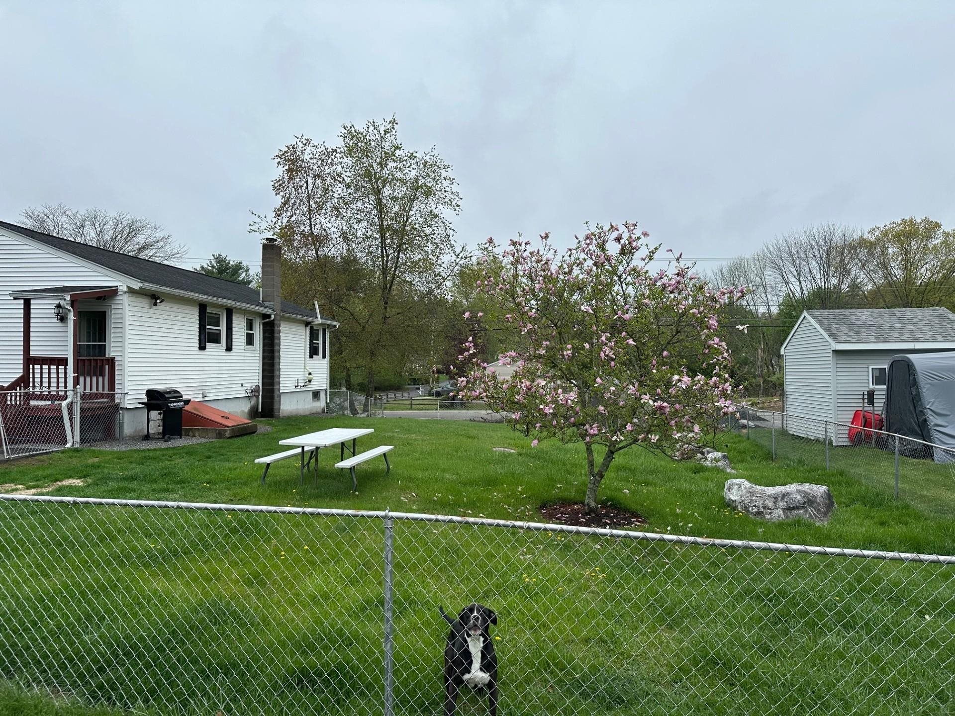2 Michelle Drive