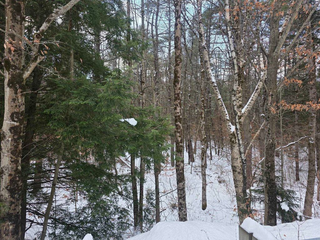 Photo of 0 Route 10 Highway, Gilsum, NH 03448 (MLS # 5071853)