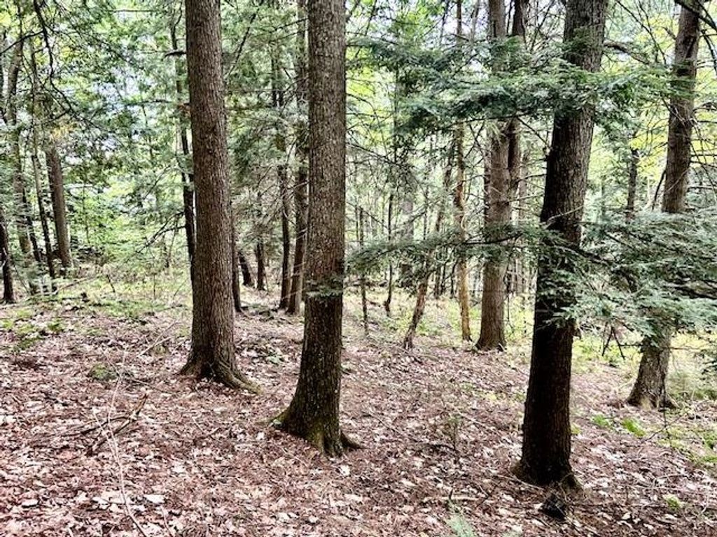 Photo of Bradley Hill Road #1, Haverhill, NH 03785 (MLS # 5058150)