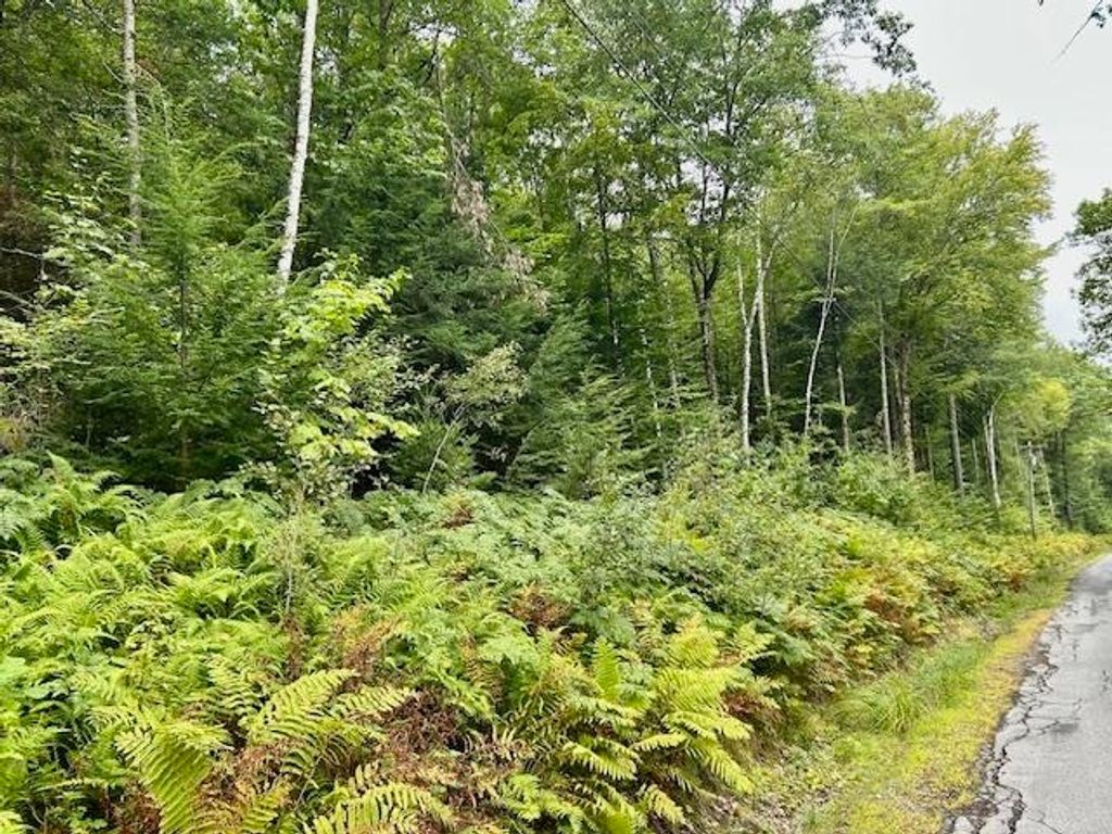 Photo of Bradley Hill Road #1, Haverhill, NH 03785 (MLS # 5058150)
