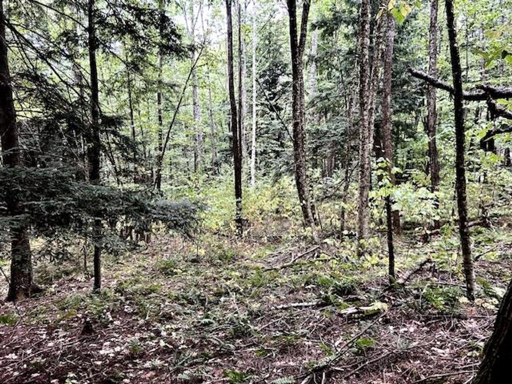 Photo of Bradley Hill Road #1, Haverhill, NH 03785 (MLS # 5058150)