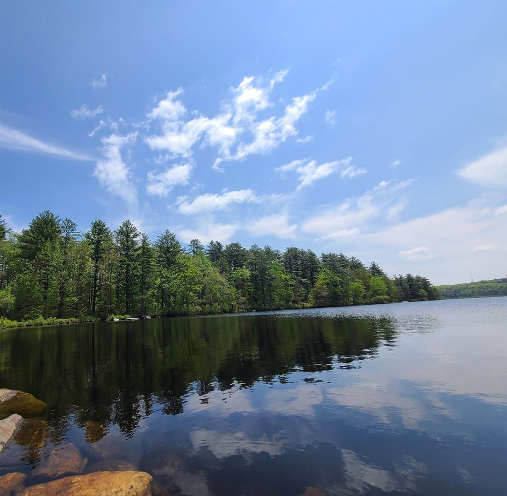 Photo of 125 Bowkerville Road, Fitzwilliam, NH 03447 (MLS # 5035361)