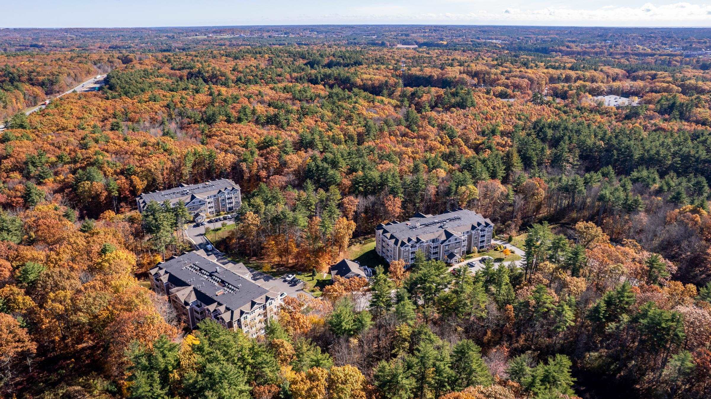 7 Willey Creek Road 308