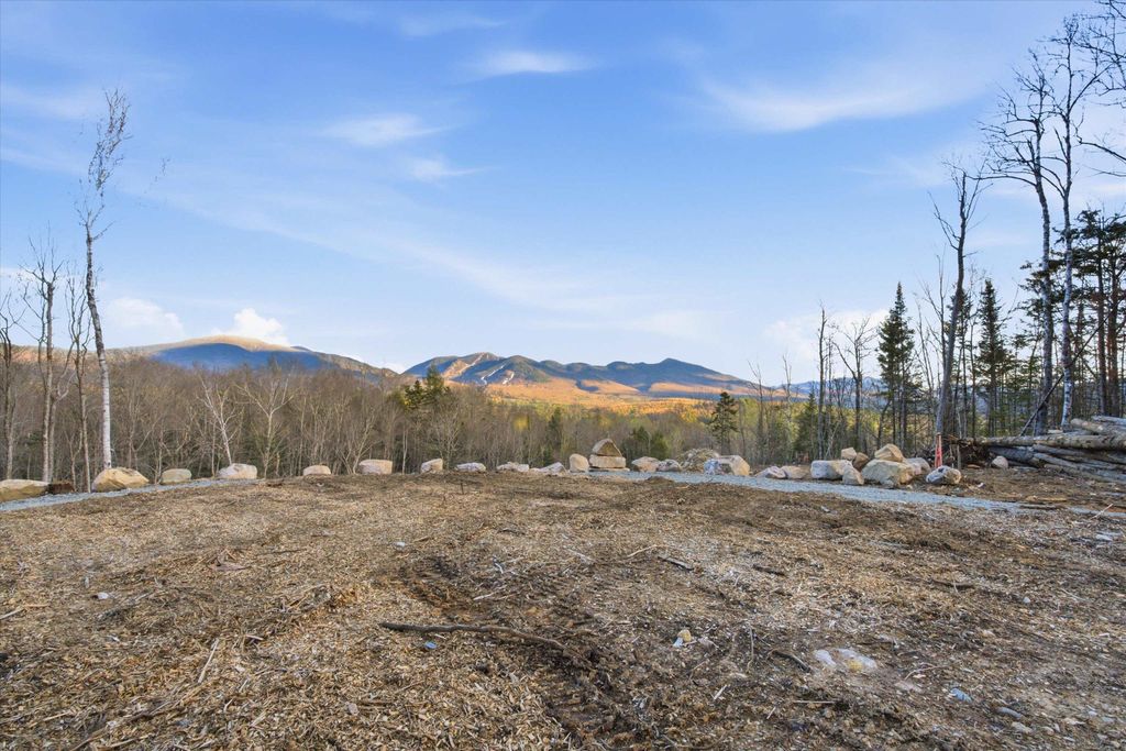 Photo of 0 Forest Road, Franconia, NH 03580 (MLS # 5088101)